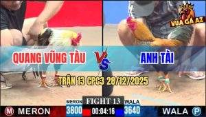 Trận 13 CPC3 28/12/2025 - Gà Chuối E Thẹn Như Gái Mới Về Nhà Chồng