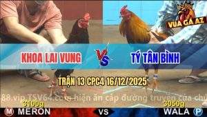 Trận 13 CPC4 16/12/2025 - Điều Đỏ May Độ Có Chân Lấy Mạng Điều Xanh