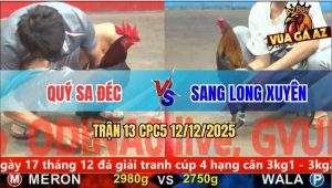 Trận 13 CPC5 12/12/2025 - Điều Mồng Lá Anh Quý Đâm Cựa Như Phát Xít
