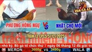 Trận 13 CPC5 5/12/2025 - Vàng Chân Trắng Anh Phương Đâm Cựa Quá Hiểm