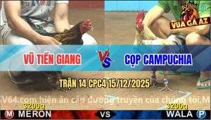 Trận 14 CPC4 15/12/2025 - Camelo Đá Que Tai Biến Nhảy Đập Đầu Vô Tường