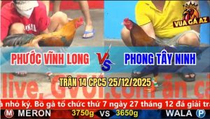 Trận 14 CPC5 25/12/2025 - Điều Anh Phong Đá Que Nghệ Không Kịp Tha Lơ
