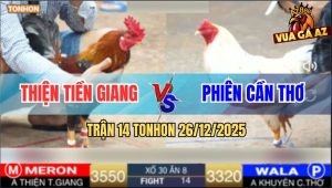 Trận 14 TonHon 26/12/2025 - Điều Bông Cầm Hơi, Lụm Tiền Gà Bướm Bỏ Ô