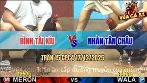 Trận 15 CPC4 17/12/2025 - Điều Mặt Lọ Anh Bình Hạ Điều Xanh Nhẹ Nhàng
