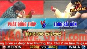 Trận 15 CPC5 12/12/2025 - Gà Que Anh Phát Vô Bảng Sợ Máu Bung Chạy