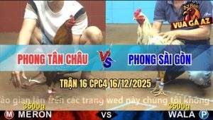 Trận 16 CPC4 16/12/2025 - Khét Lọt Ói, Phản Tang Ăn 2 Đưa Biện Ra Đảo