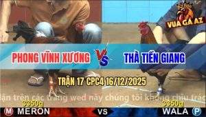 Trận 17 CPC4 16/12/2025 - Điều Anh Phong Giết Xanh Lúc Nào Không Hay
