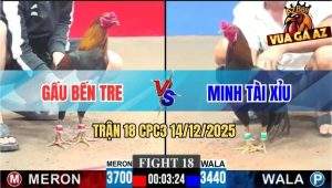 Trận 18 CPC3 14/12/2025 - Anh Minh Thả Con Tép Bắt Cá Rô Quá Hay