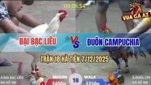 TRAN 18 HA TIEN 7122025