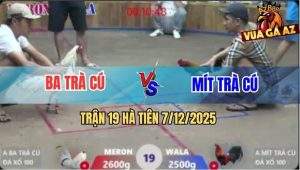 TRAN 19 HA TIEN 7122025