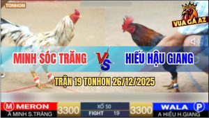 Trận 19 TonHon 26/12/2025 - Bướm Đá Điều Bay Bồ Không Rớt Cọng Lông