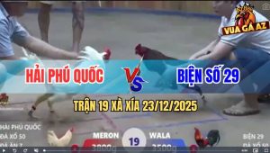 Trận 19 Xà Xía 23/12/2025 - Gà Úa Quá Trâu, Điều Xanh Đâm Không Thấm