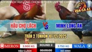 Trận 2 TonHon 10/12/2025 - Gà Xám Đâm Điều Má Minh Không Kịp Dỡ Giò