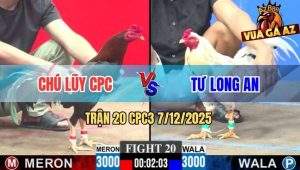 Trận 20 CPC3 7/12/2025 - Gà Điều Chú Lũy Đá Bướm Sặc Máu Ngộp Thở Chết