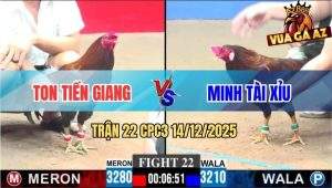 Trận 22 CPC3 14/12/2025 - Điều Cọp Anh Ton Đâm Cựa Không Kịp Nhìn
