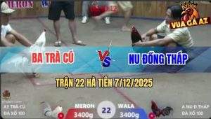 Trận 22 Hà Tiên 7/12/2025 - Bướm Nhấp Nhẹ Mấy Chân Bông Anh Nu Tàn Lụi