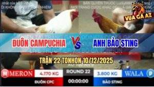 Trận 22 TonHon 10/12/2025 - Khét Nhập Bảo Sting Đá Camelo Anh Đuôn Té