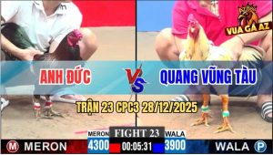 Trận 23 CPC3 28/12/2025 - Bướm Anh Quang Đâm Nát Bấy Lưng Gà Điều
