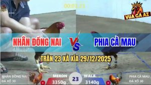 Trận 23 Xà Xía 29/12/2025 - Điều Anh Nhần Dá Cây Lưng Xanh Ho Ra Si Rô