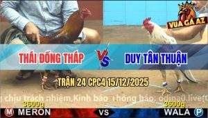 Trận 24 CPC4 15/12/2025 - Bướm Anh Duy Chụp Đầu Đá Điều Thở Không Kịp