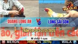 Trận 24 CPC5 3/12/2025 - Anh Quang Và Anh Long, Bất Phân Thắng Bại