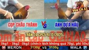 Trận 24 CPC5 9/12/2025 - Điều Quá Trâu, Gà Anh Dưa Hấu Đâm Không Thấm