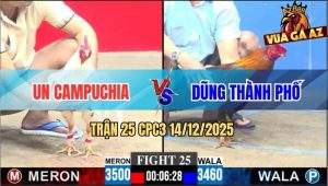 Trận 25 CPC3 14/12/2025 - Gà Chiến Anh Un Campuchia Đá Hết Hồn Chim Én