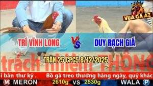Trận 25 CPC5 8/12/2025 - Bướm Nốt Ói Cầm Hới Đá Gà Khét Đứng Không Nổi