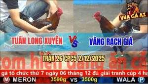 Trận 26 CPC5 2/12/2025 - Điều Bông Anh Vàng Rạch Giá Tải Cựa Quá Tốt