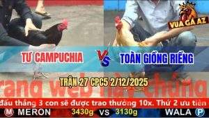 Trận 27 CPC5 2/12/2025 - Ô Ướt Đâm Camelo Phá Đối Chạy Trối Chết