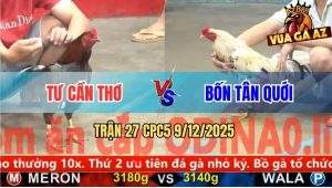 Trận 27 CPC5 9/12/2025 - Gà Xám Anh Tư Cần Thơ Đá Nước Khuya Quá Hay