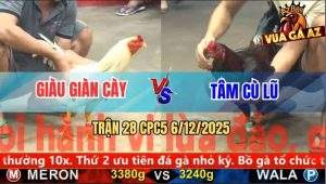 Trận 28 CPC5 6/12/2025 - Điều Cọp Anh Tâm Cù Lũ Chay Như Máy Sới
