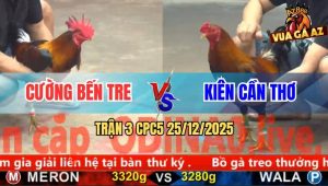 Trận 3 CPC5 25/12/2025 - Điều Chân Vàng Đâm Điều Chân Xanh Tai Biên