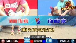 Trận 32 CPC3 14/12/2025 - Gà Anh Tèo Bảo Lộc Xuống Núi Quên Mang Cựa