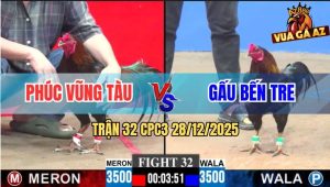 Trận 32 CPC3 28/12/2025 - Gà Anh Phúc Đâm Gà Anh Gấu Đứng Hết Nổi