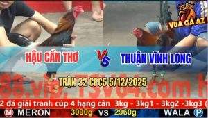 Trận 32 CPC5 5/12/2025 - Điều Anh Hậu Có Chân Xạo Lờ Đâm Xanh Gãy Cổ