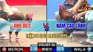 Trận 34 CPC3 28/12/2025 - Điều Xanh Chết Tới, Điều Bông Bỏ Miệng Hòa