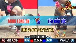Trận 36 CPC3 14/12/2025 - Gà Má Minh Quá Trâu, Anh Tèo Đâm Không Thấm