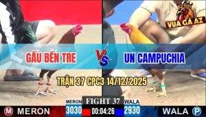 Trận 37 CPC3 14/12/2025 - Khét Đuôi Lao Anh Un CPC Dập Như Máy Khâu