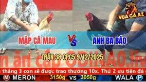 Trận 38 CPC5 9/12/2025 - Gà Ô Anh Ba Báo Tải Cựa Tốt, Đá Bướm Tốc Chạy