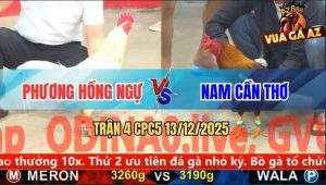 Trận 4 CPC5 13/12/2025 - Bướm Anh Phương Đâm Điều Lên Bờ Xuống Ruộng