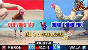 Trận 41 CPC3 28/12/2025 - Điều Chân Xanh Đá Banh Xám Cú Gốc Bự