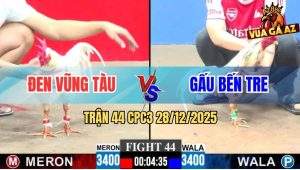 Trận 44 CPC3 28/12/2025 - Úa Mồng Lá Anh Đen Vũng Tàu Tải Cựa Quá Hay