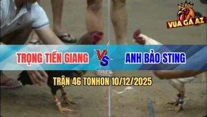 Trận 46 TonHon 10/12/2025 - Anh Bảo Sting Xui Tang Đá Sao Cũng Thua