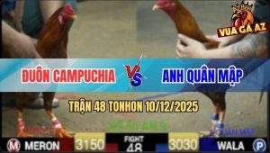 Trận 48 TonHon 10/12/2025 - Bảo Sting Có Pha Lật Kèo Ăn 2 Ngoạn Mục