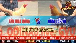 Trận 5 CPC5 13/12/2025 - Gà Vàng Anh Năm Chưa Thả Di Ăn 4 Và Cái kết