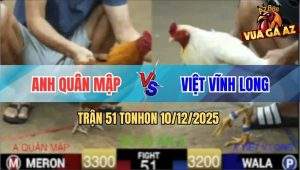 Trận 51 TonHon 10/12/2025 - Bướm ĐKVĐ Đá Lớp 1 Hạ Khét Nhập Bảo Sting