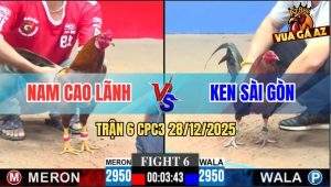 Trận 6 CPC3 28/12/2025 - Mẻ Gà Anh Ken Đá Hay Mà Đút Vô Toàn Gặp Cù Lũ