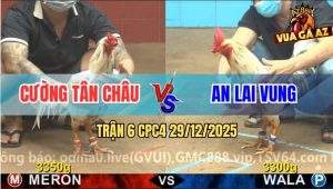 Trận 6 CPC4 29/12/2025 - Bướm Đỏ Canh Chặn Hay Xanh Lìa Giò Phun Tương