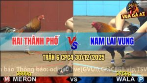 Trận 6 CPC4 30/12/2025 - Hai Con Chụp Vô Đâm Cựa Như Mưa